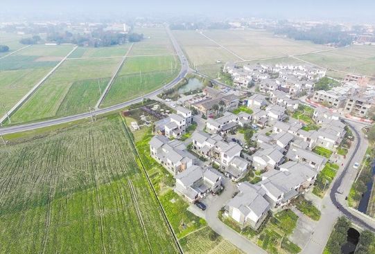 斗门五星村最新消息全面解读