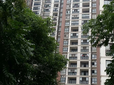 九龙领仕汇最新消息全面解析