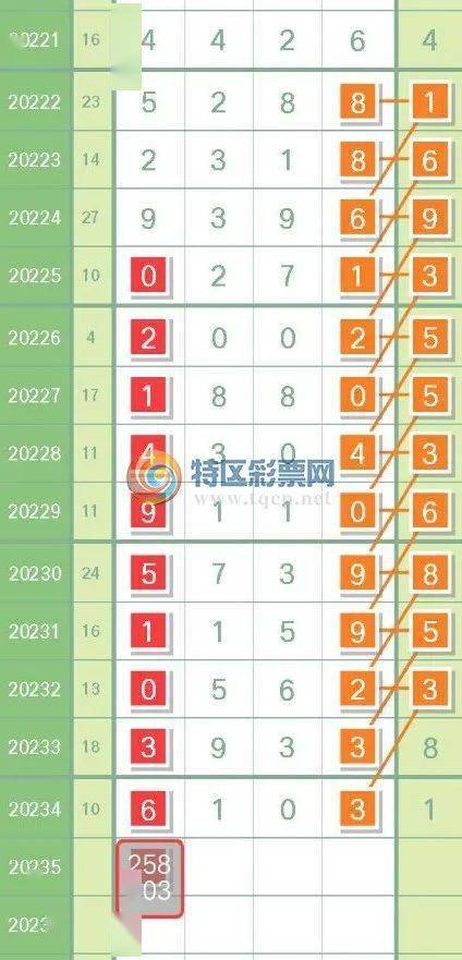最准一肖一码一一中特，解析与精选策略的实施