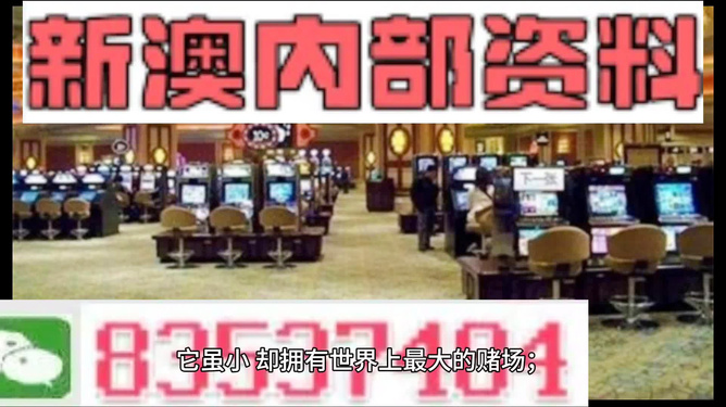 2024新澳正版免费资料大全详解，精选解释解析与落实策略
