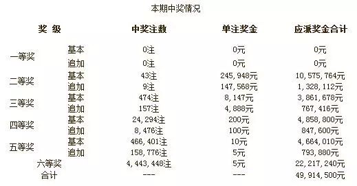 揭秘澳门新王中王彩票开奖结果——解析与落实精选策略