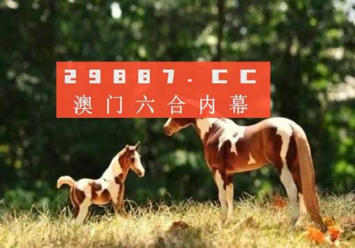 澳门正版跑狗图最新版，精选解释解析落实