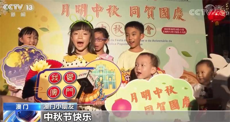 澳门正版蓝月亮精选大全，解析与落实之道