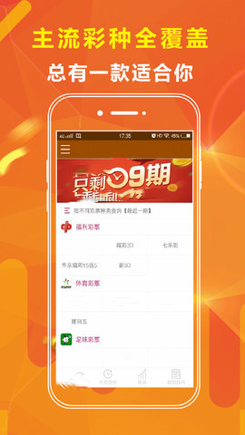 王中王中特网资料大全，精选解释解析与落实策略
