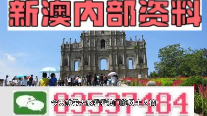 新澳2024资料免费大全版，精选解释解析落实的重要性