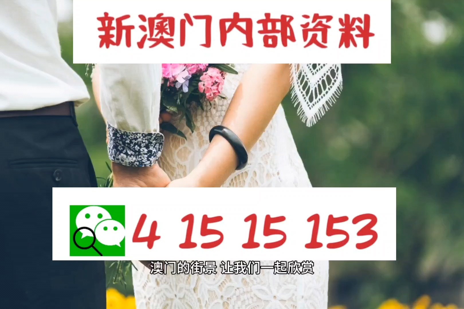 澳门精准免费资料与精选解释解析落实的深度探讨