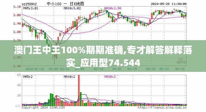 新澳门王中王期期中，解析与精选策略的实践