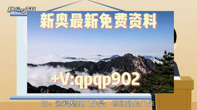 2024新奥正版资料大全详解与精选解析落实策略
