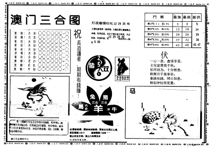 龙门客栈，管家婆精准资料大全解析与落实精选