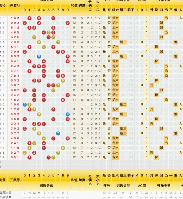 新奥2024今晚开奖结果，精选解释解析落实