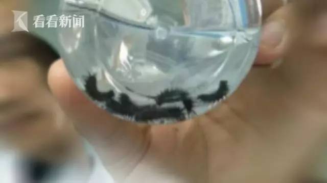 女子口吐黑虫事件最新进展，揭秘背后的真相与未来展望