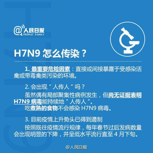 H1N9禽流感最新消息，全球防控形势与应对策略
