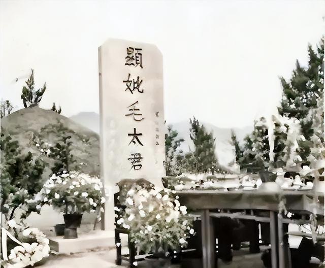 一夜弃妃书评，深度剖析与最新观感