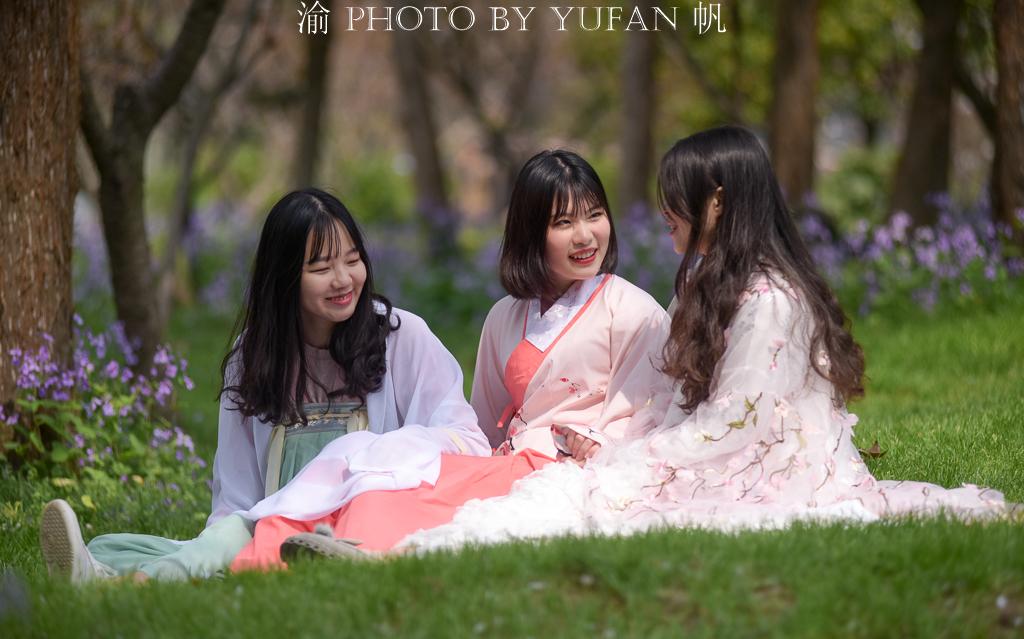 女社会网名最新版的魅力与影响